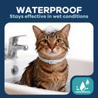 Natural ingredient flea collar for kittens and adult cats