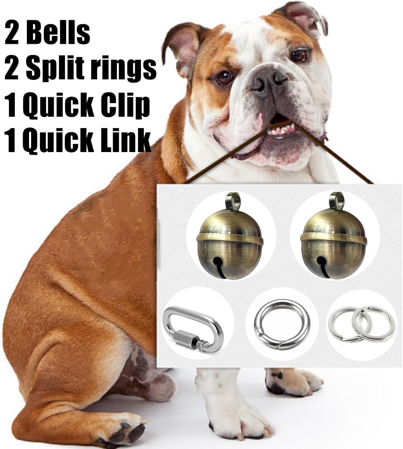 PILHCY heavy duty collar bell showing the unique surface technique and rust resistant material