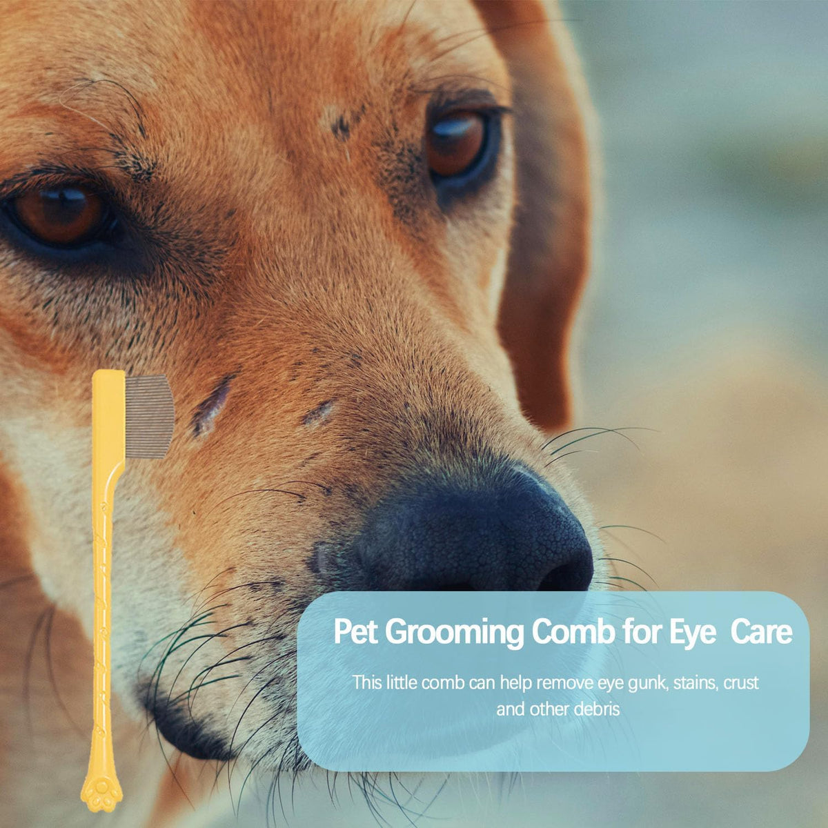 JGocot grooming kit for cat and dog facial hair maintenance