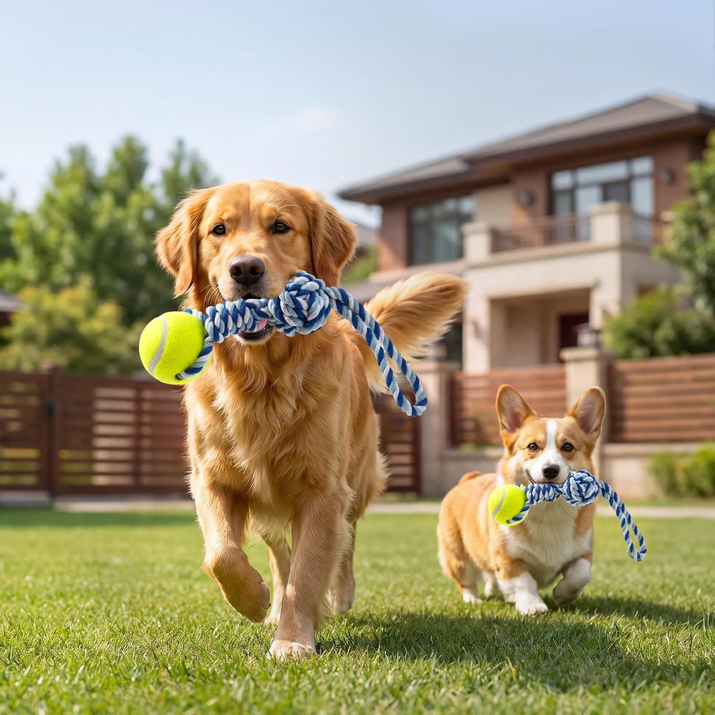 Packaging view of the premium imported USA pet teething chew product