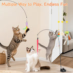Suction cup mounted cat teaser wand attached to a window glass surface.