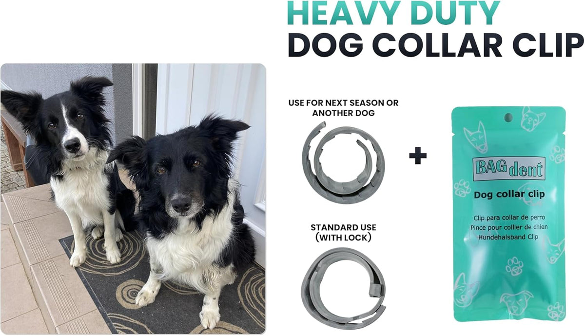Bagdent replacement pet collar clips and ties being attached to a small dog everyday collar.