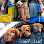 YuCool Pet Seat Belt Buckle Compatibility Check