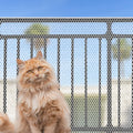 Piowet cat anti-fall netting installed on a balcony