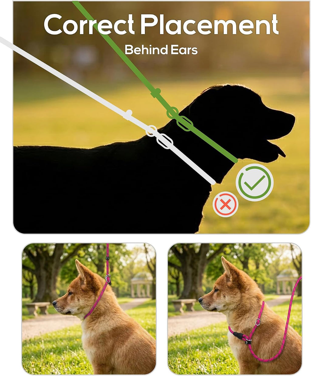 TagME six feet professional rope P leash close up on reflective stitching