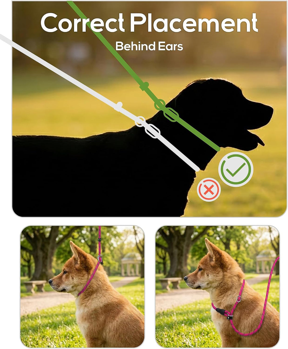 TagME six feet professional rope P leash close up on reflective stitching