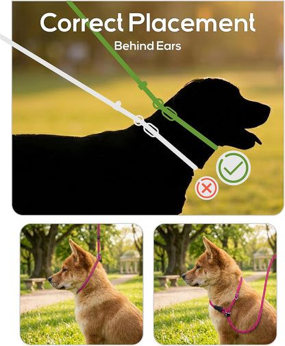 TagME six feet professional rope P leash close up on reflective stitching