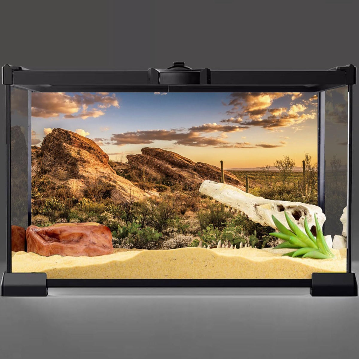 Awert reptile habitat background front view poster
