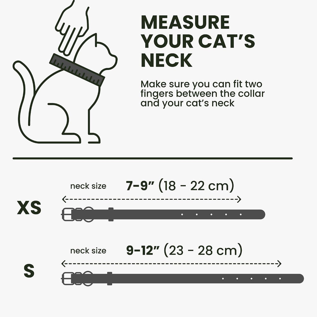 BronzeDog small pet collar with silicone ID tag holder