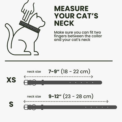 Premium full grain leather kitten collar in black color option