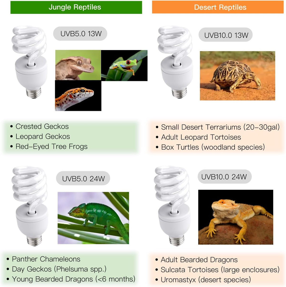 Desert reptile basking light installed in fixture