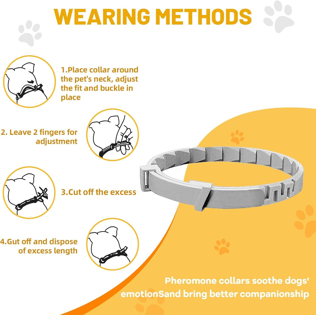 Four pack packaging of Die-matic dog collars showcasing the individual foil seals.