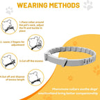 Four pack packaging of Die-matic dog collars showcasing the individual foil seals.