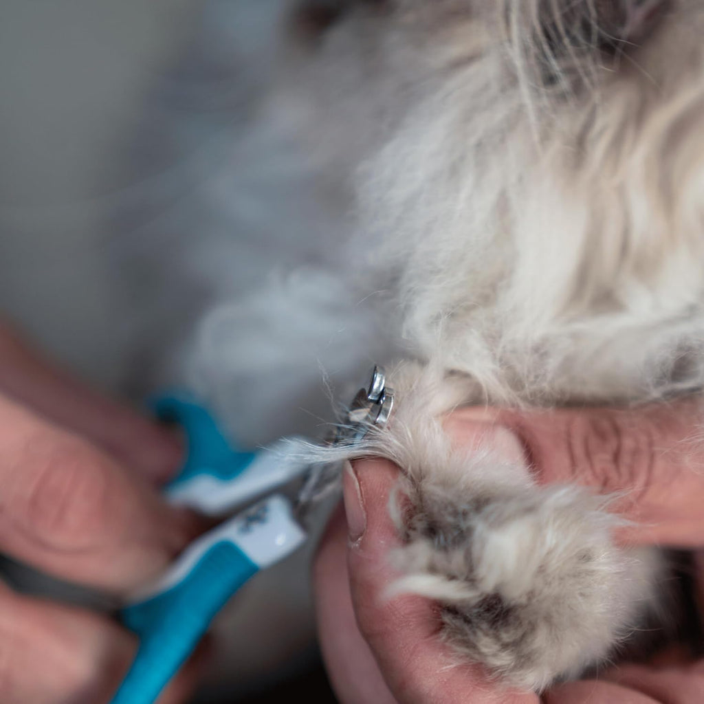 Mr. Pen blue grooming tool for trimming cat paws cleanly