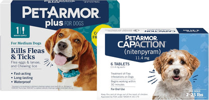 PetArmor Plus Flea and Tick Prevention for Cats over 1.5 lbs, Cat Flea and Tick Treatment, 1 Dose, Waterproof Topical, Fast Acting - Image 13