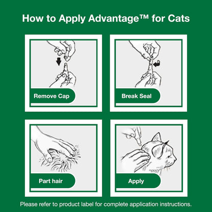 Fast acting contact flea control solution for small felines