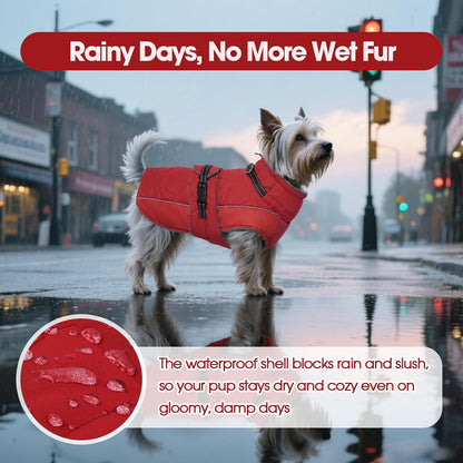 QBLEEV adjustable pet snowsuit showcasing the quick release buckles and belly straps.