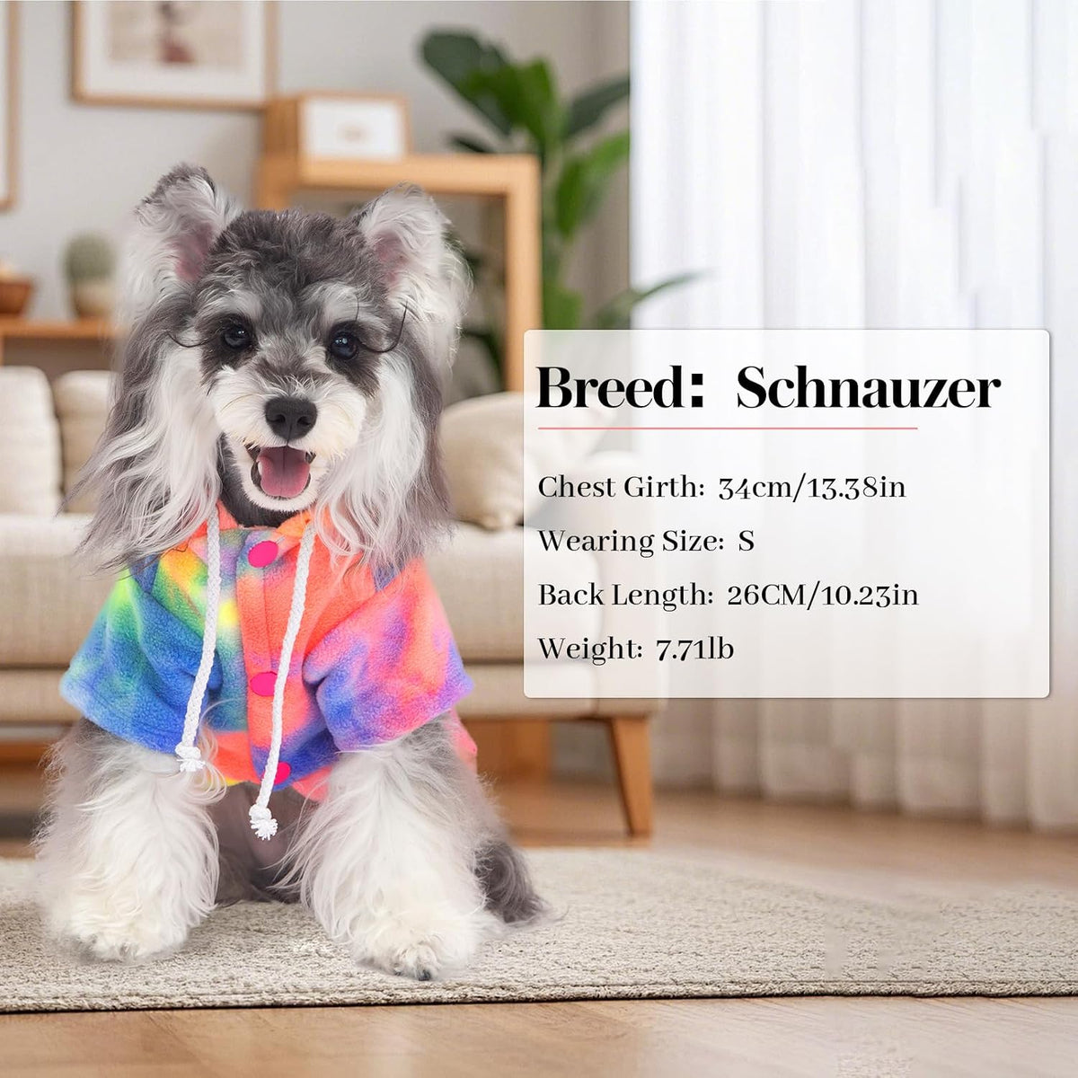 BAOBICUTE rainbow pet apparel back view stylish small dog clothing