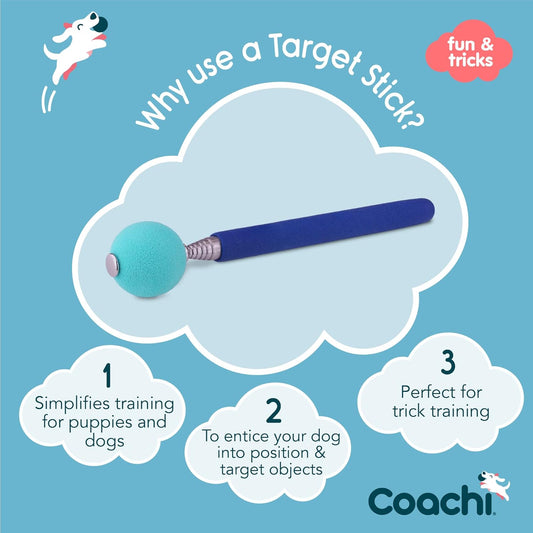 Coachi Target Stick by Company of Animals extended to seventy centimeters for dog training