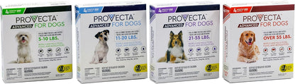 Provecta Advanced authentic USA imported pet care protective treatment boxes