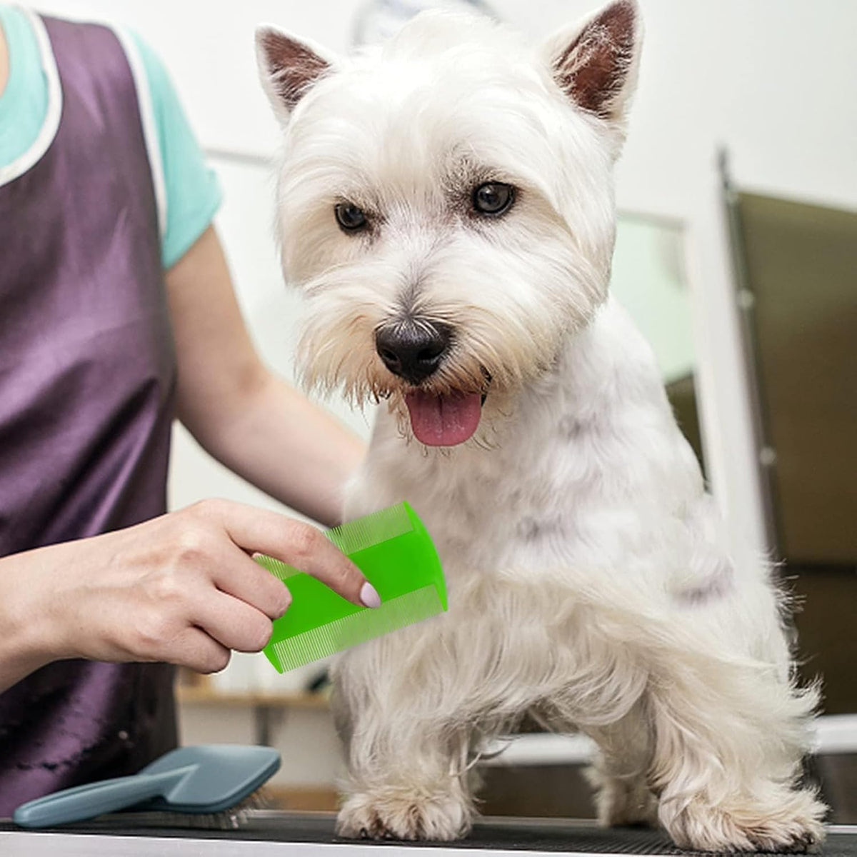 Top view of 4 piece MoHern flea and lice comb set