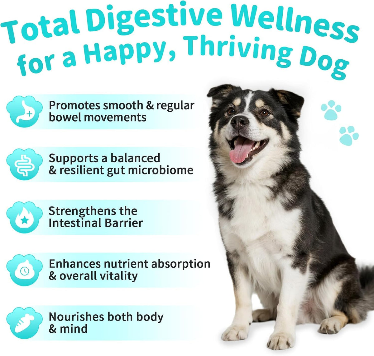 Close up of beef flavored probiotic soft chews for dog gas relief and constipation support.