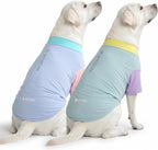 Dog playing outdoors wearing Spark Paws sunblock clothing