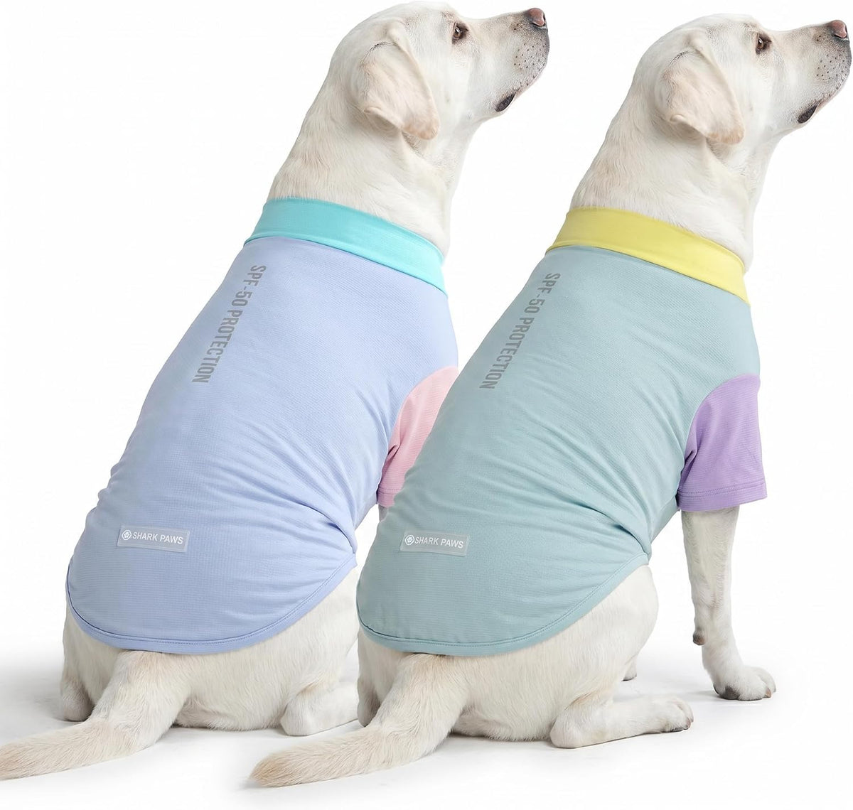 Dog playing outdoors wearing Spark Paws sunblock clothing