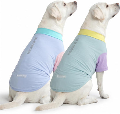 Dog playing outdoors wearing Spark Paws sunblock clothing