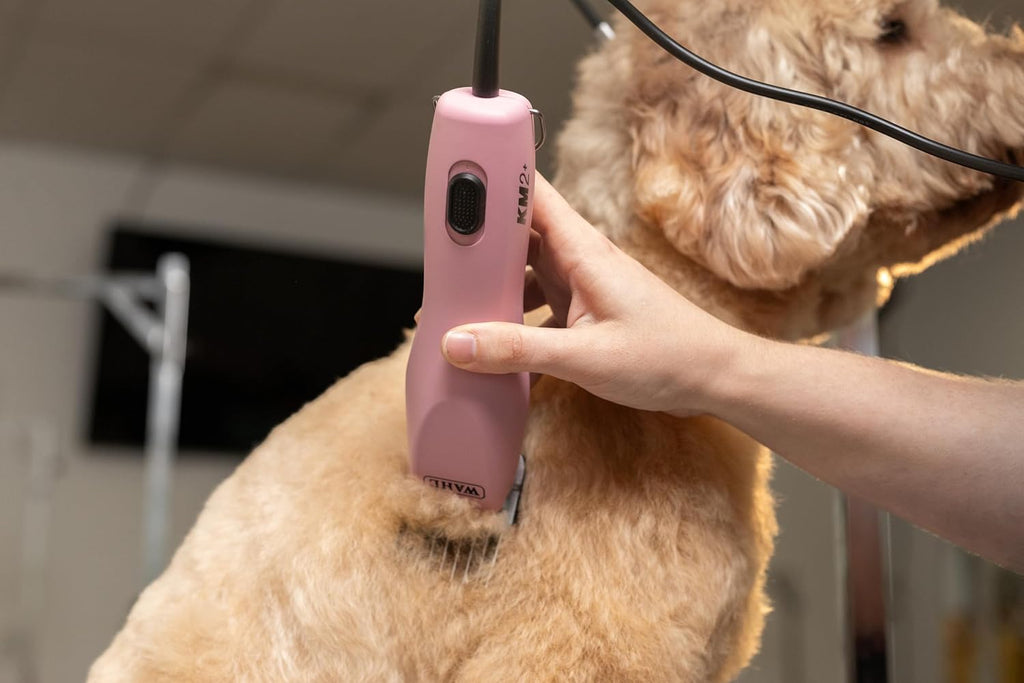 Wahl professional animal clipper packaging showing included accessories