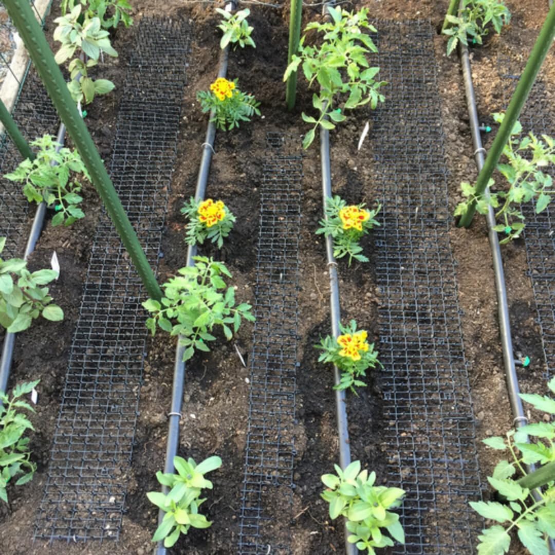 Packaged Gardener's Supply Company cat scat mat ready for use