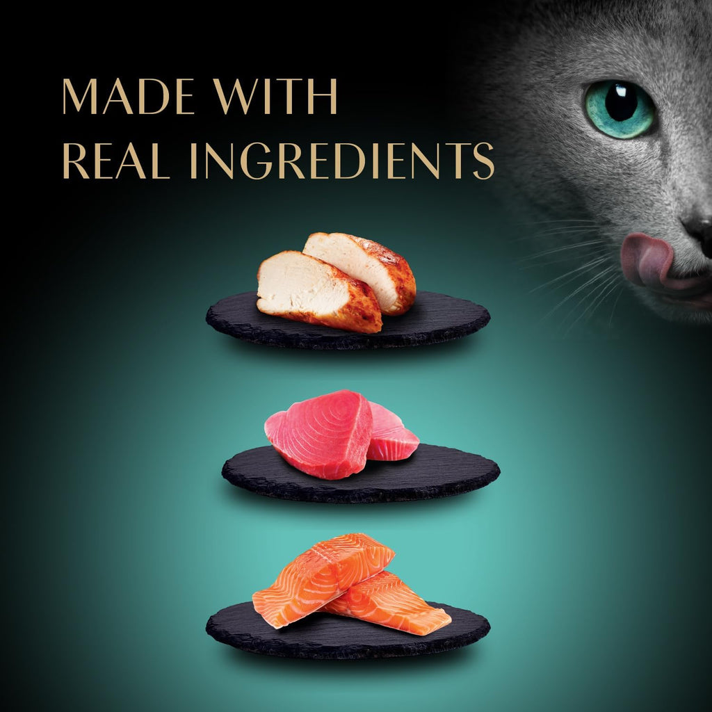 Close up of Sheba premium cat treat creamy texture