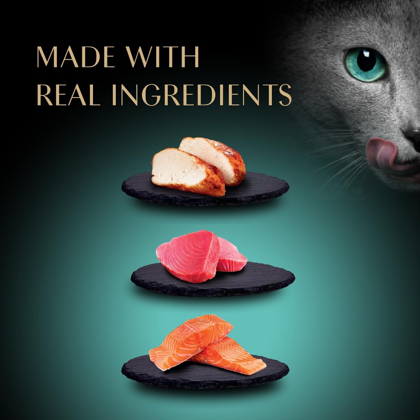 Close up of Sheba premium cat treat creamy texture