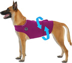 Kodervo dog anxiety vest purple color front view
