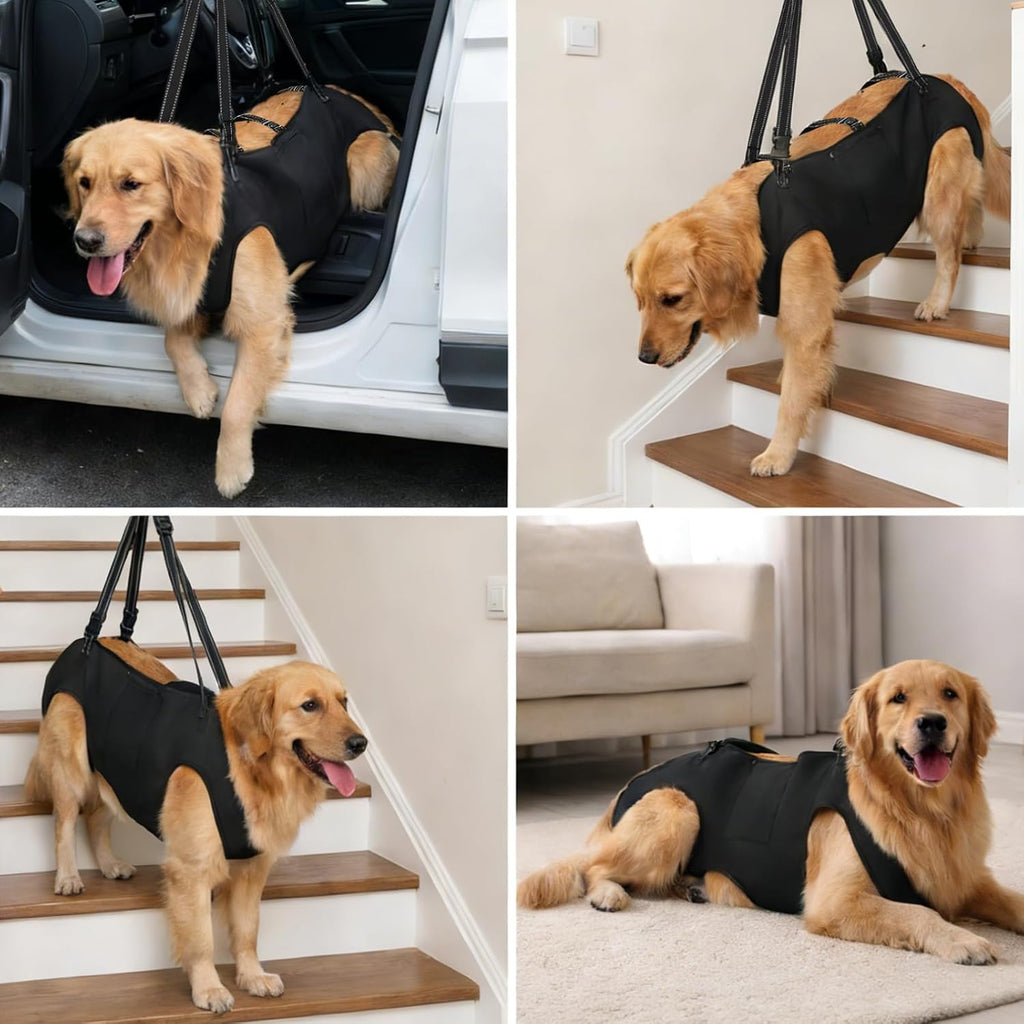 Dog Lift Harness with Pocket Full Body Dog Harness with Adjustable Handle Dog Carrying Sling Pet Legs Support Sling for Senior Dogs Joint Injuries Post Surgery Recovery Hiking,Black,XL - Image 2