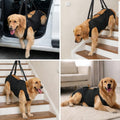 Dog Lift Harness with Pocket Full Body Dog Harness with Adjustable Handle Dog Carrying Sling Pet Legs Support Sling for Senior Dogs Joint Injuries Post Surgery Recovery Hiking,Black,XL - Image 2