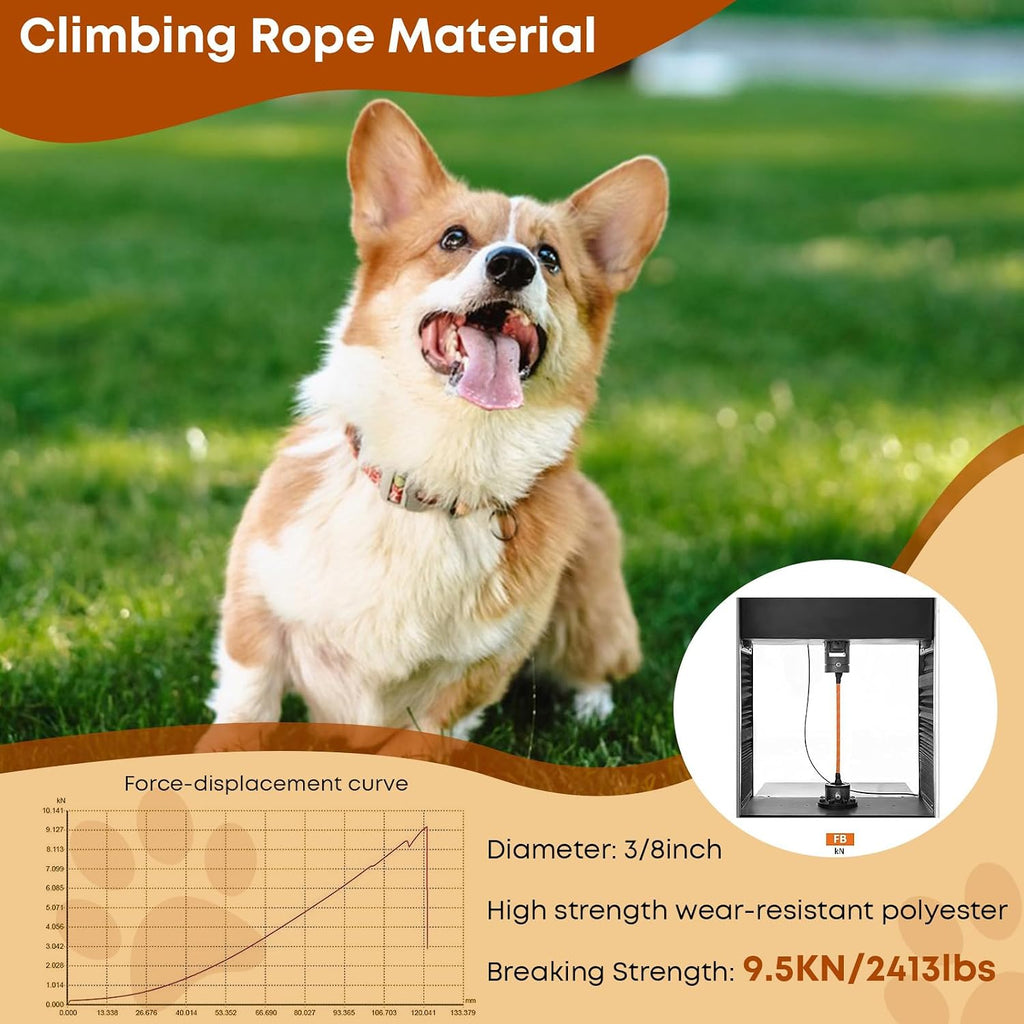 Heavy duty long dog rope leash attached to a tree trunk for outdoor tie-out purposes.