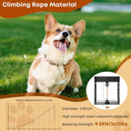 Heavy duty long dog rope leash attached to a tree trunk for outdoor tie-out purposes.