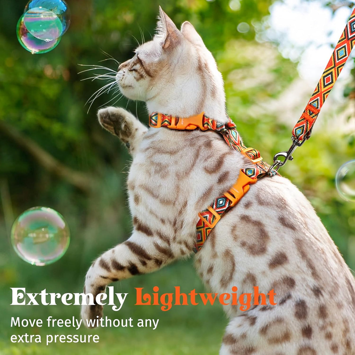 Dooradar lightweight pet walking gear for outdoor use
