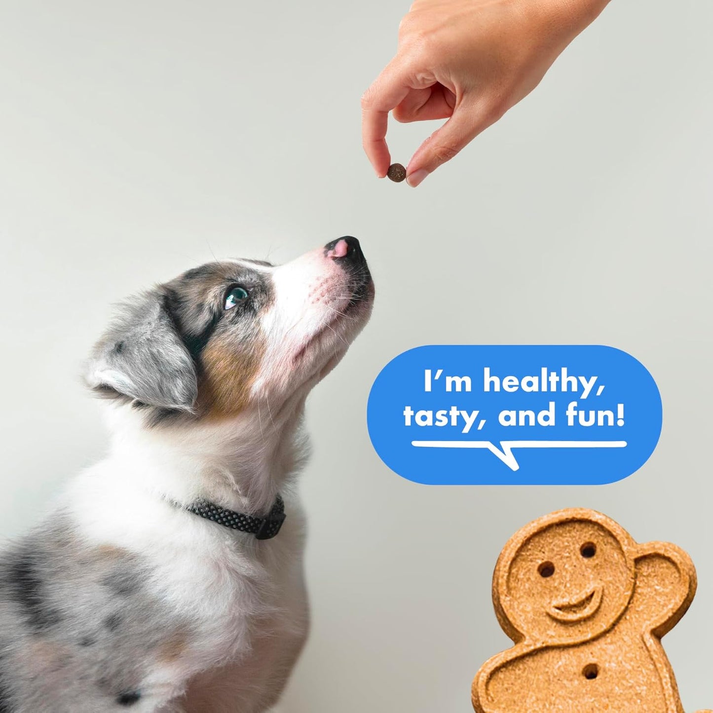 Imported USA dog treats from Cloud Star Buddy Biscuits brand.