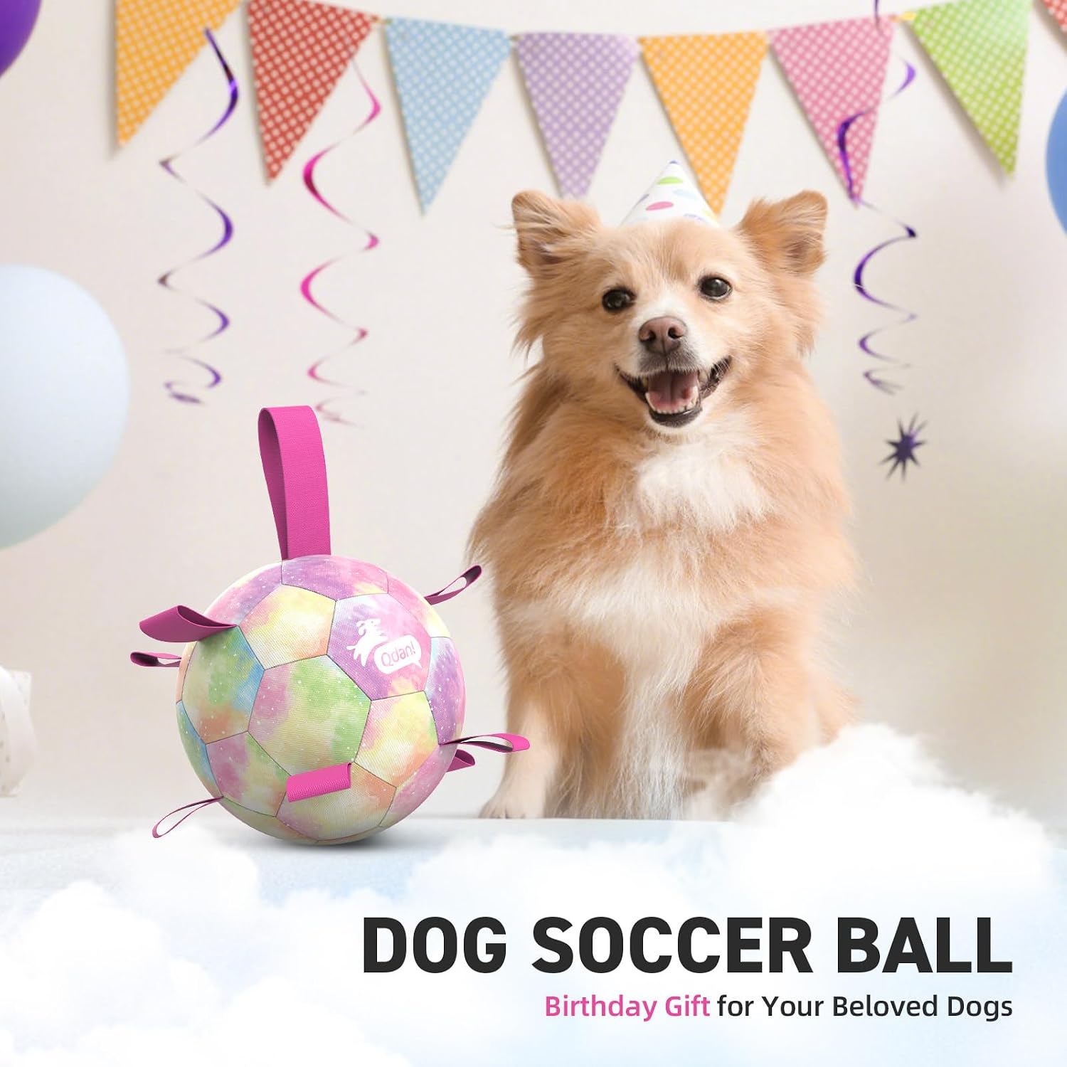 Small dog playing with 6 inch rainbow soccer ball