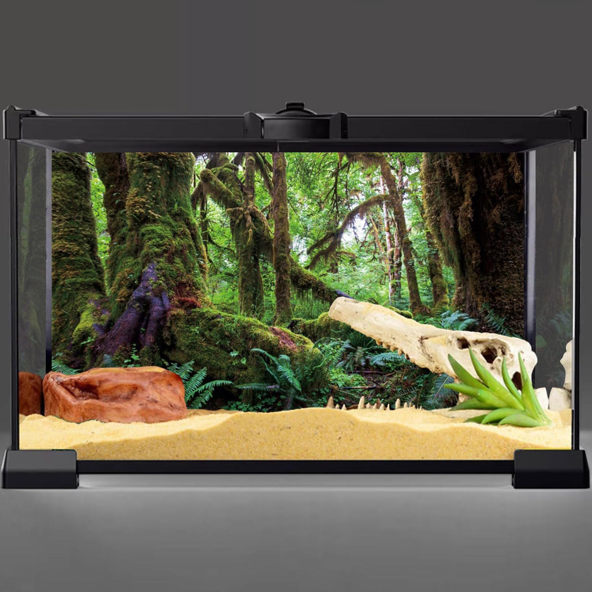 Awert tropical forest terrarium background front view showing green tree design
