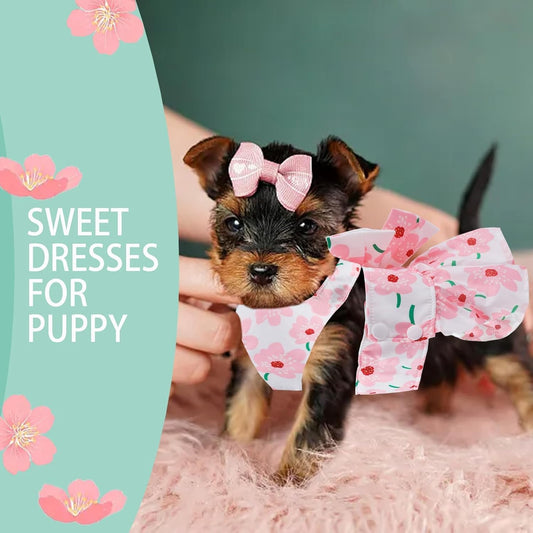 Small girl dog wearing pink puppy outfit with bowknot