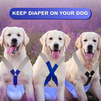 Adjustable canine belly band harness with three secure metal clips