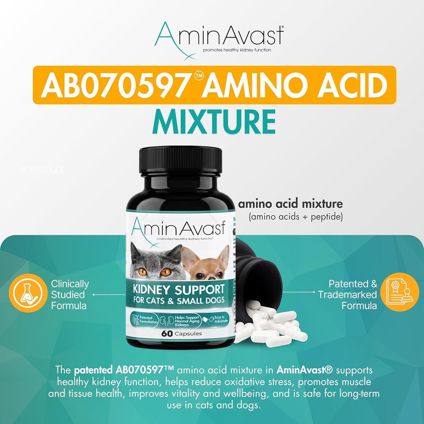 AminAvast Small Dogs & Cat Kidney Support - Promotes Healthy Kidney Support in Cats & Small Dogs - 300mg, 60 Capsule - Image 3