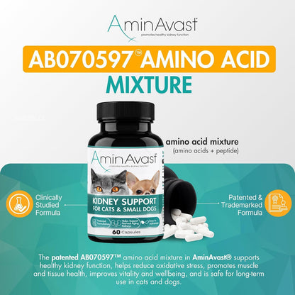 AminAvast Small Dogs & Cat Kidney Support - Promotes Healthy Kidney Support in Cats & Small Dogs - 300mg, 60 Capsule - Image 3