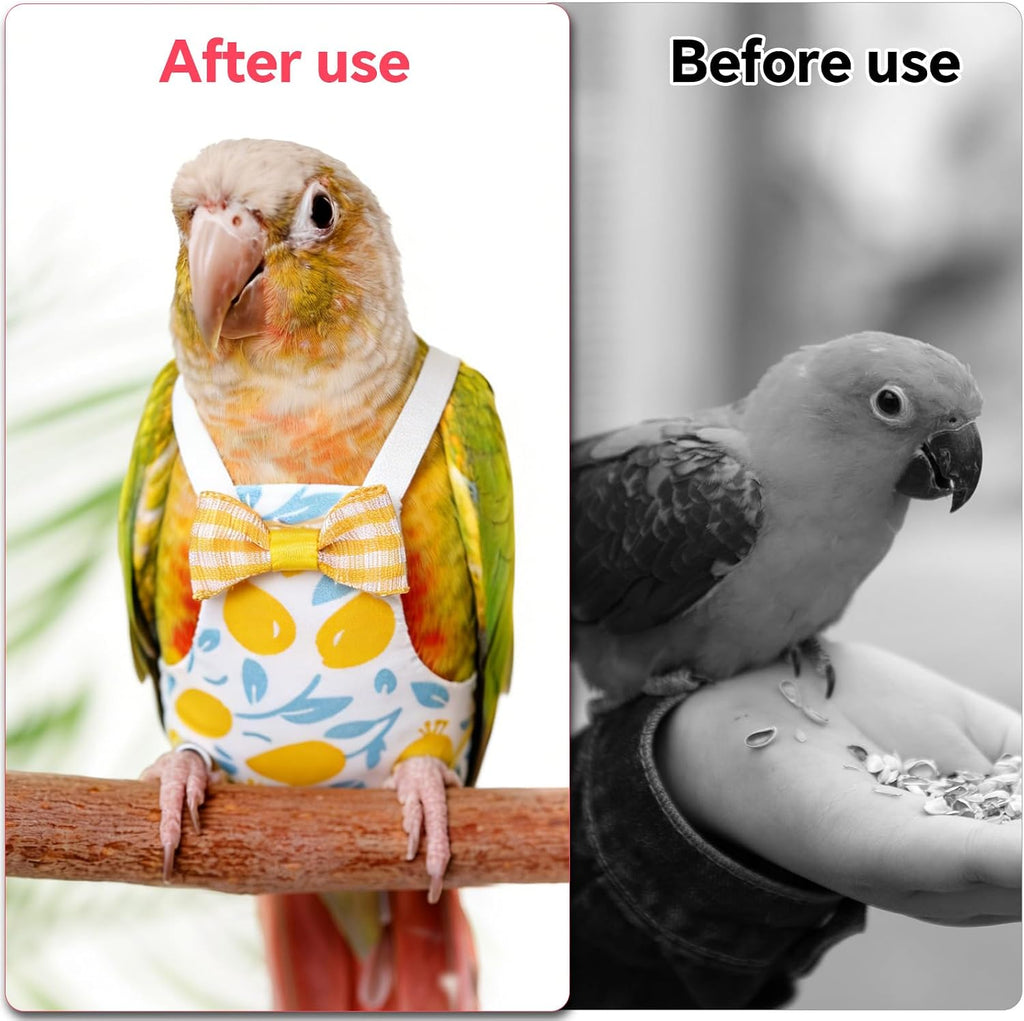 Fukaisu fruit patterned bird clothing laid flat for size reference