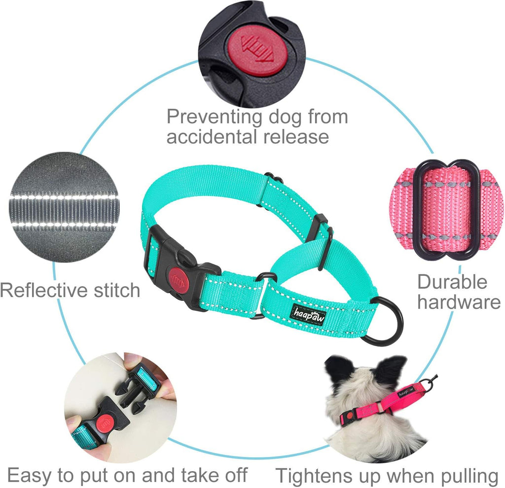 Haapaw reflective nylon dog collar with quick release safety buckle