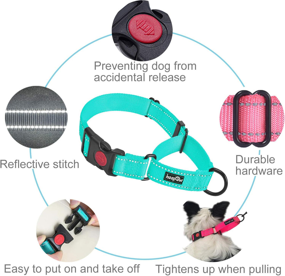 Haapaw reflective nylon dog collar with quick release safety buckle