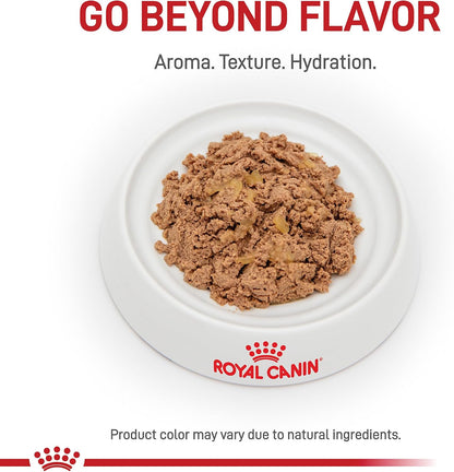 Royal Canin premium urinary care wet food cans for adult cats showing feeding guidelines.